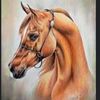 janier.rojas05