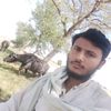 user351915743