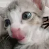 tnhiiy_21