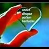 hebaanarsii