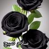 ali324736