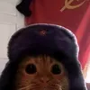 kemphamvn