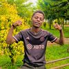 abi.abix8