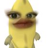 hydsstmlh_