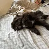 kitkaaa.aa