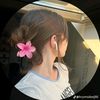 just_loli_45