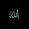 md.rafi.islam8456