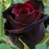 ebtisam.mobark.ab