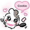 tjxx.cookie