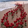 qasm.alsade