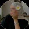 wp_744