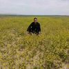 mohamed.fouad.zit