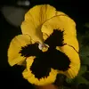 maria.dp25