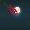 .ammu29