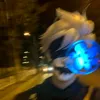elmastemido00