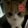 user42996250380108