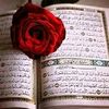 zena.omar8