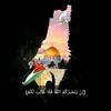 user80463741169614