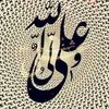 user98762160322244