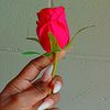 sharelle.lalara5
