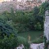 omar73218