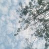 .aracuyyy