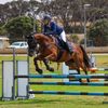 charlotter_equestrian