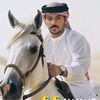 mohamedsaeed3911