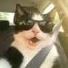 imnothimbro3