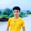 wr.assine
