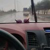 ali.saleh367