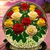 ali_______244
