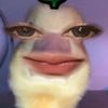 bcahhhaj