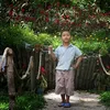 phuong.trananh