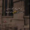 user435965750