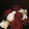 mryum._01