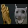 trixooo_0