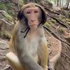 sai.kaung.myint