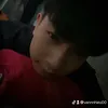 vannhieu0050