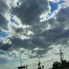 lishaaa444