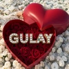 gulay7566