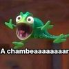 wifi.campillo
