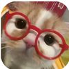 longlyn_lopyou