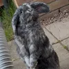 Thumper