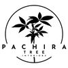 Pachira Tree Interiors