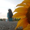 i_love_sun_flowers01