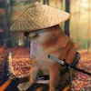 veterano_009