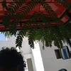 hassan.a.albtl