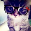 .emy330