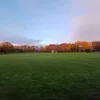 tom_the_bombno1